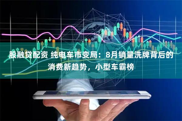 股融贷配资 纯电车市变局：8月销量洗牌背后的消费新趋势，小型车霸榜