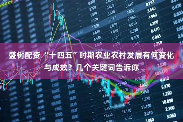 盛树配资 “十四五”时期农业农村发展有何变化与成效？几个关键词告诉你